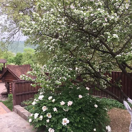 Liubava Guest house *